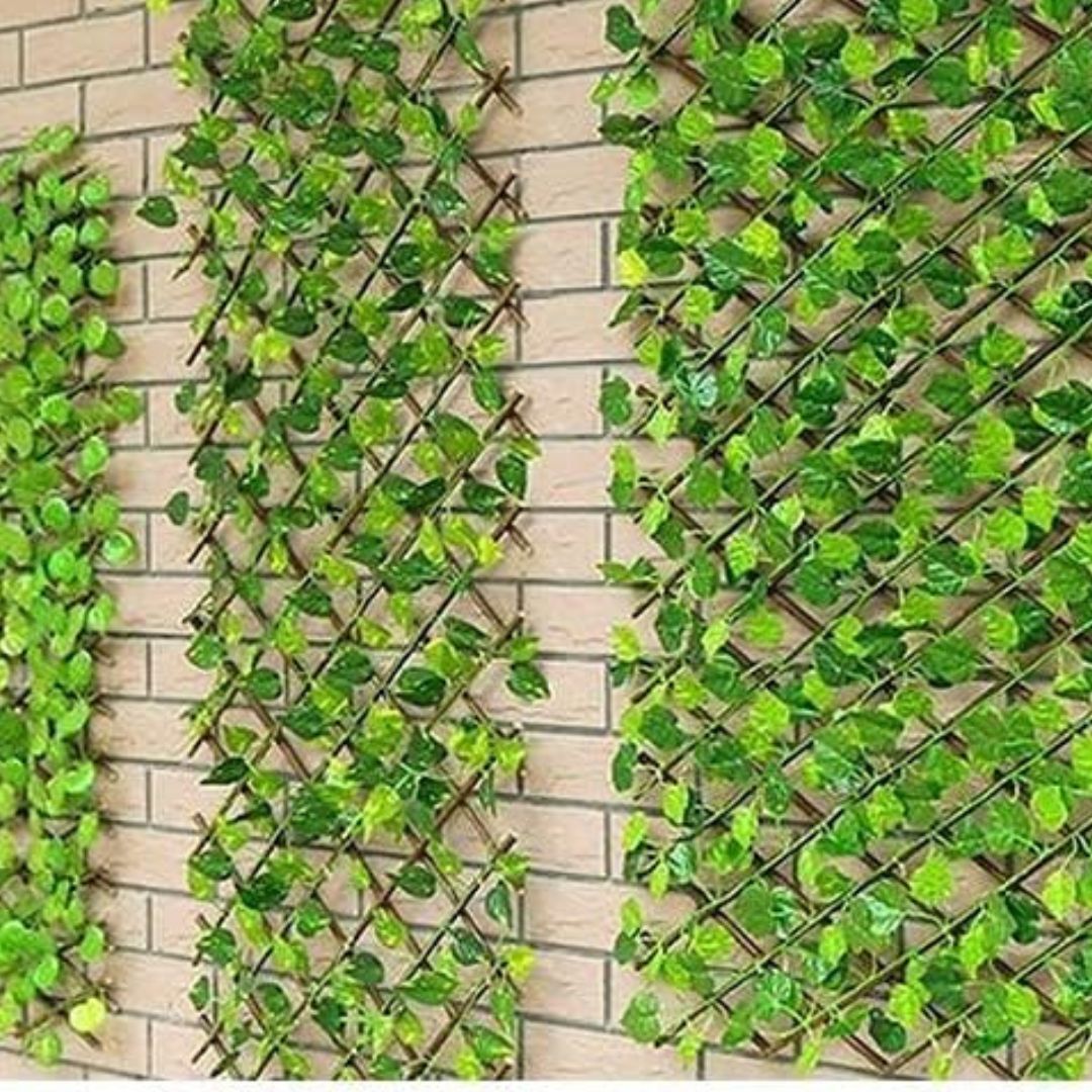 xr:d:DAF4rneTg8s:6,j:8372605873184699748,t:24010122